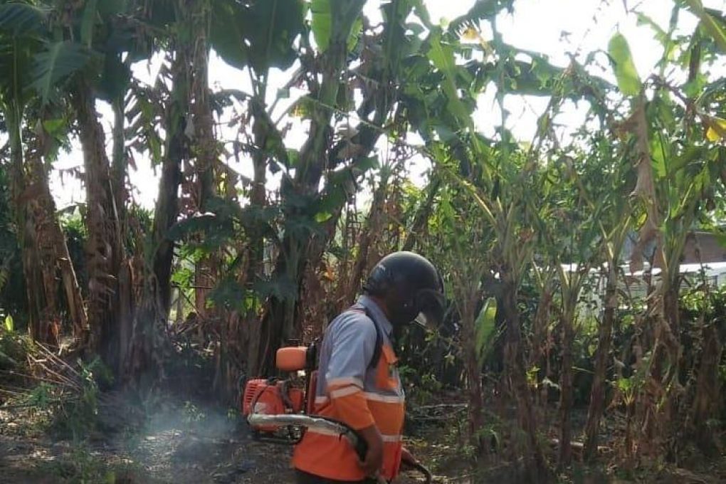 Bersih-Bersih Dinas Lingkungan Hidup Kota Malang di TPS Bandulan tanggal 31 Juli 2019