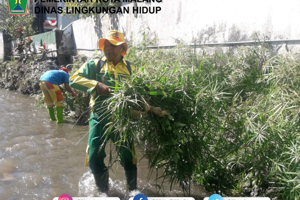 Kegiatan Bersih-Bersih di Sungai Dinonyo, Jl. MT. Haryono Gang 8 (6 Agustus 2019)